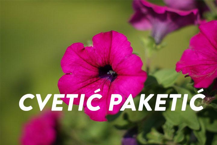Cvetić paketić