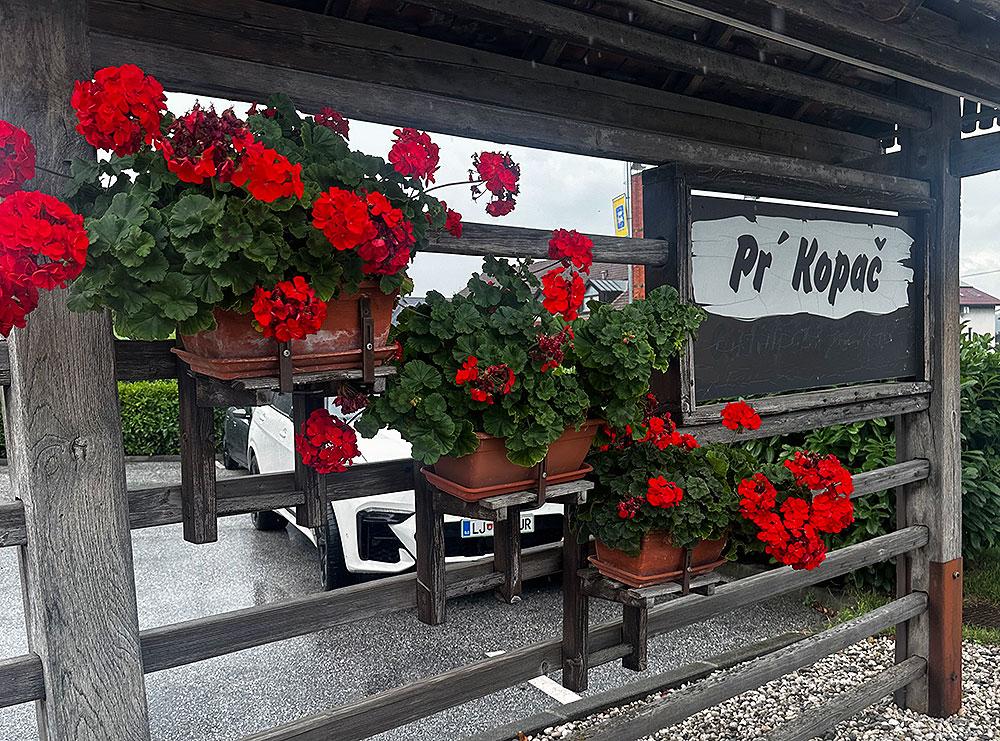 Domaća pašteta i hortikultura – čudan spoj ili ipak ne?