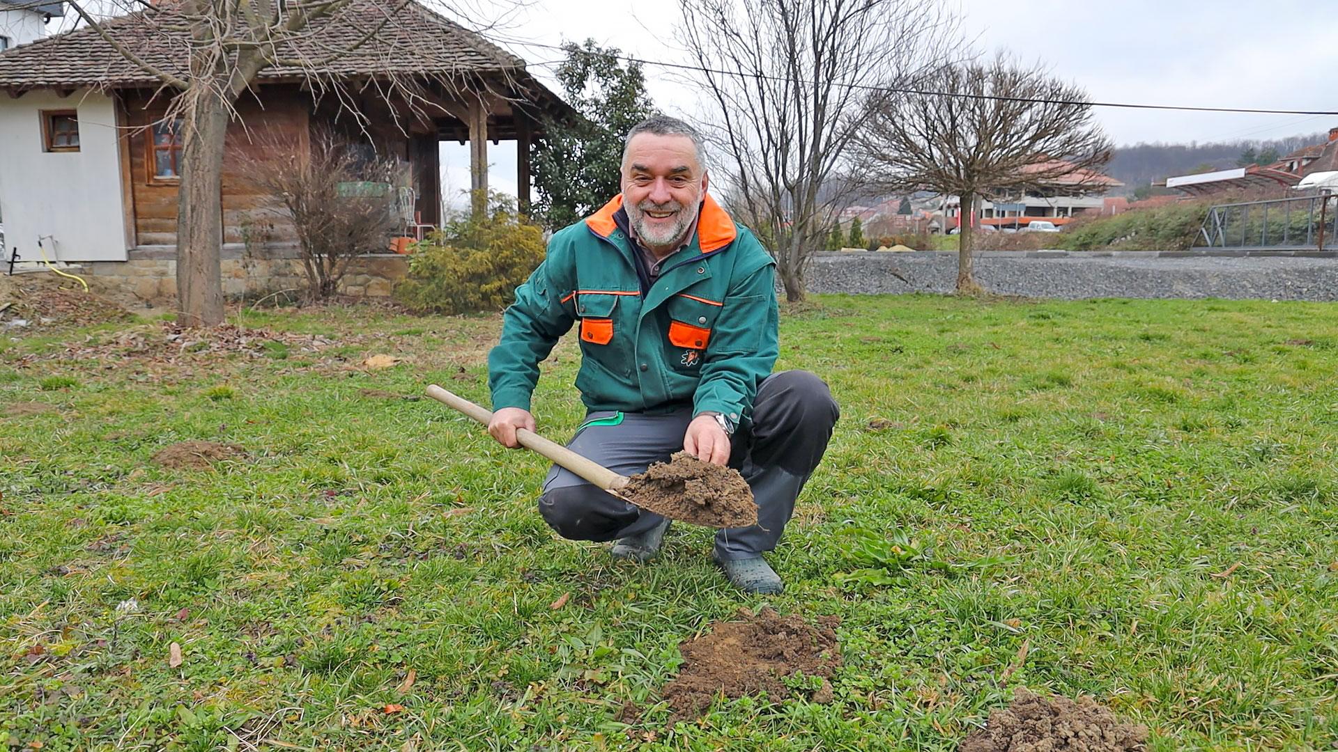 Februar u vrtu: Saveti za travnjak, ruže i lukovice