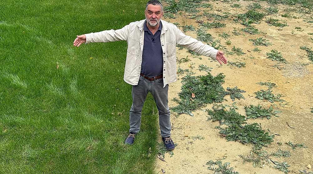 Kako da prepoznate da vaš travnjak treba dosejati – 3 znaka koja ne smete ignorisati