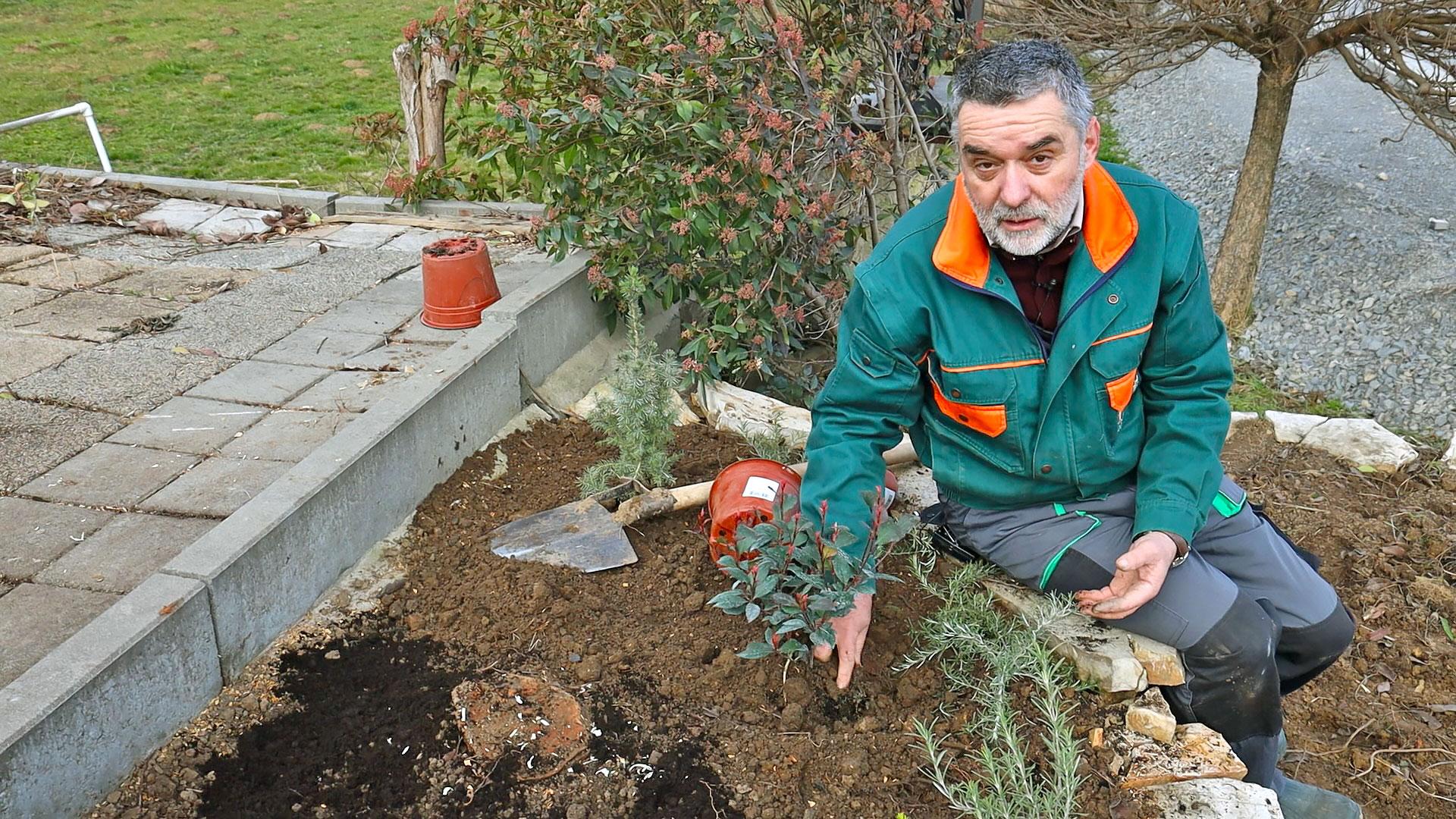 Uređenje dvorišta: Kako sam oživeo zaboravljeni ugao