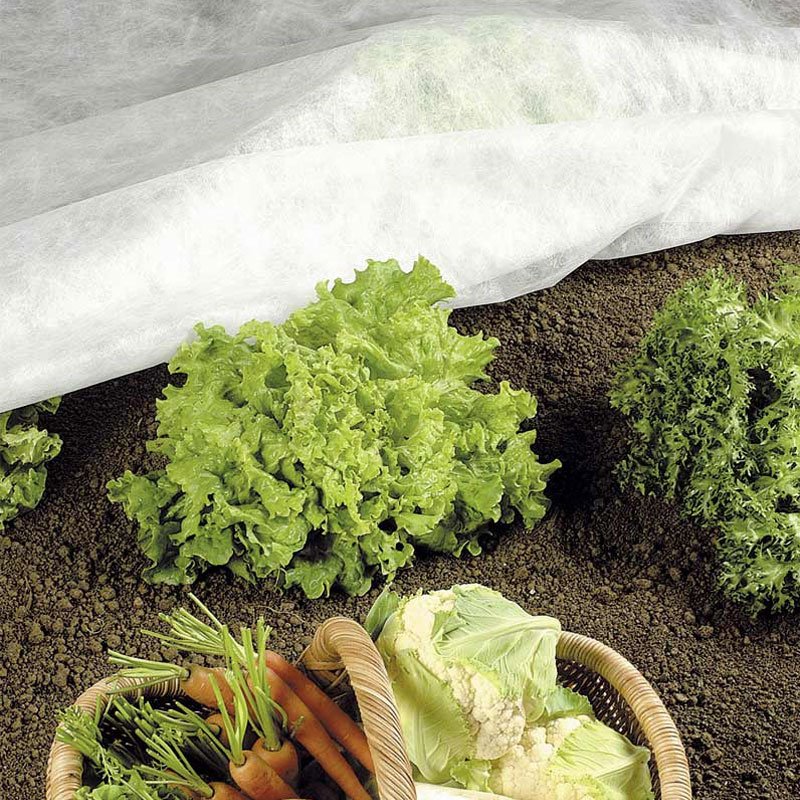 Agril folija zaštita od mraza
