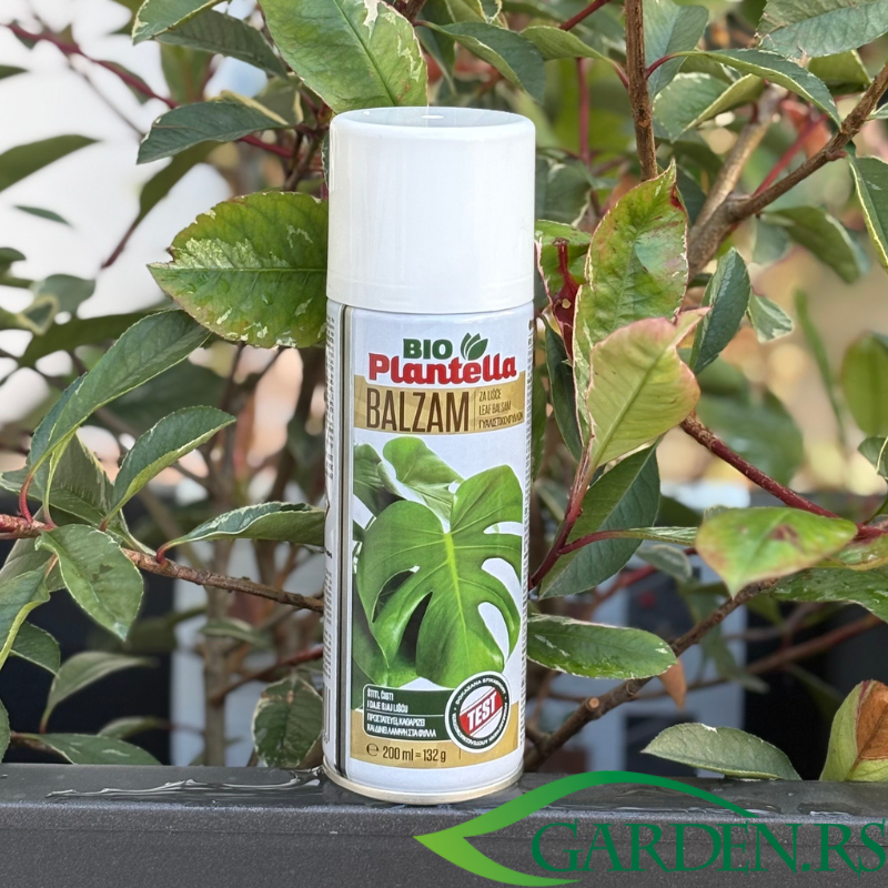 Balzam za lišće