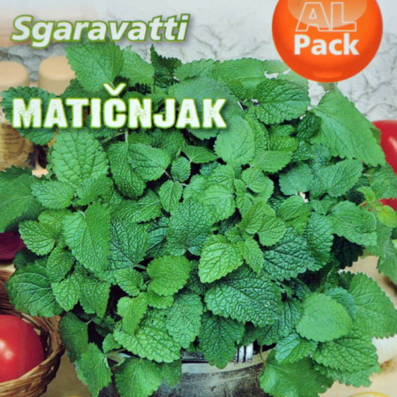 Matičnjak seme