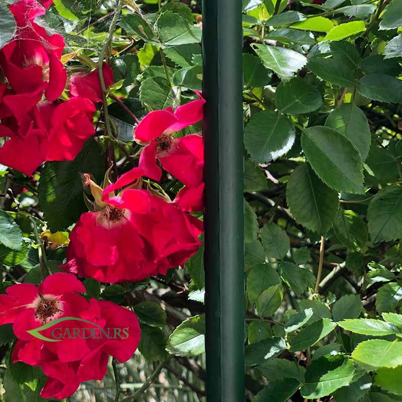 Plastificirani čelični držač 210cm