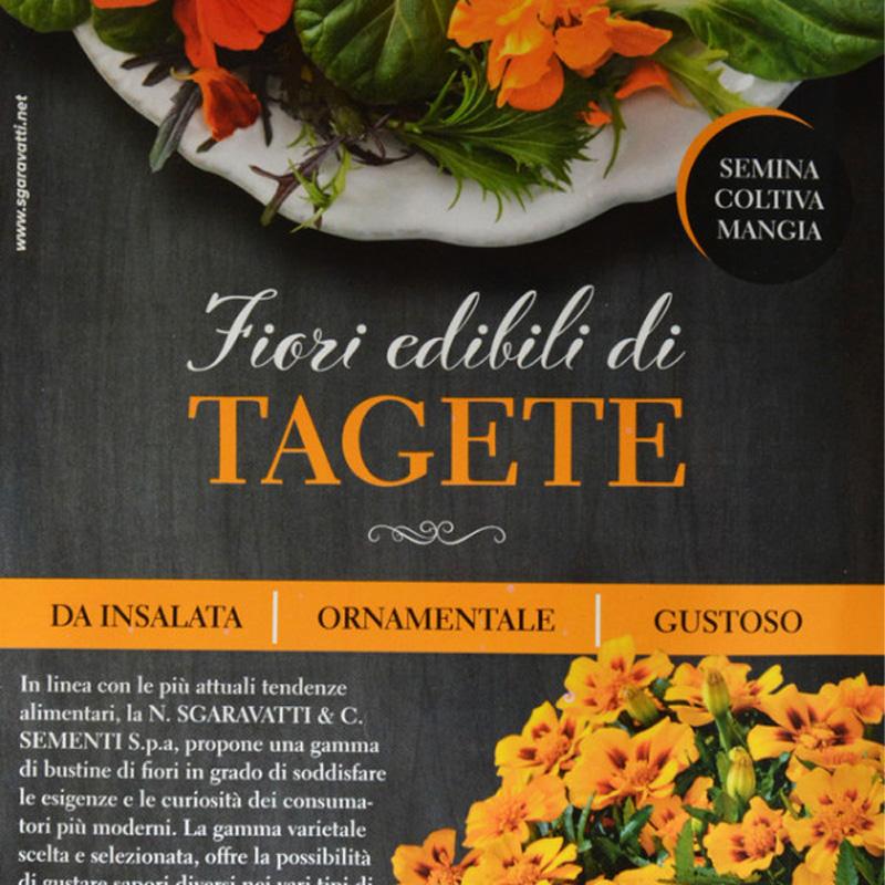 Seme Kadifa- jestivo cveće